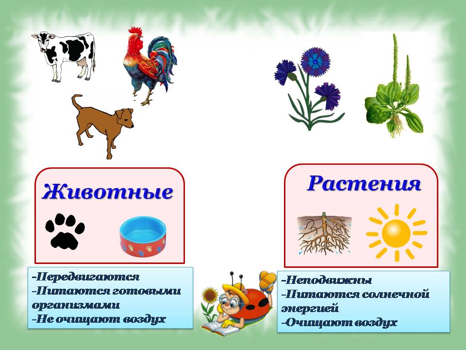 Учебник Русский Язык 3 Класс Школа России Задания