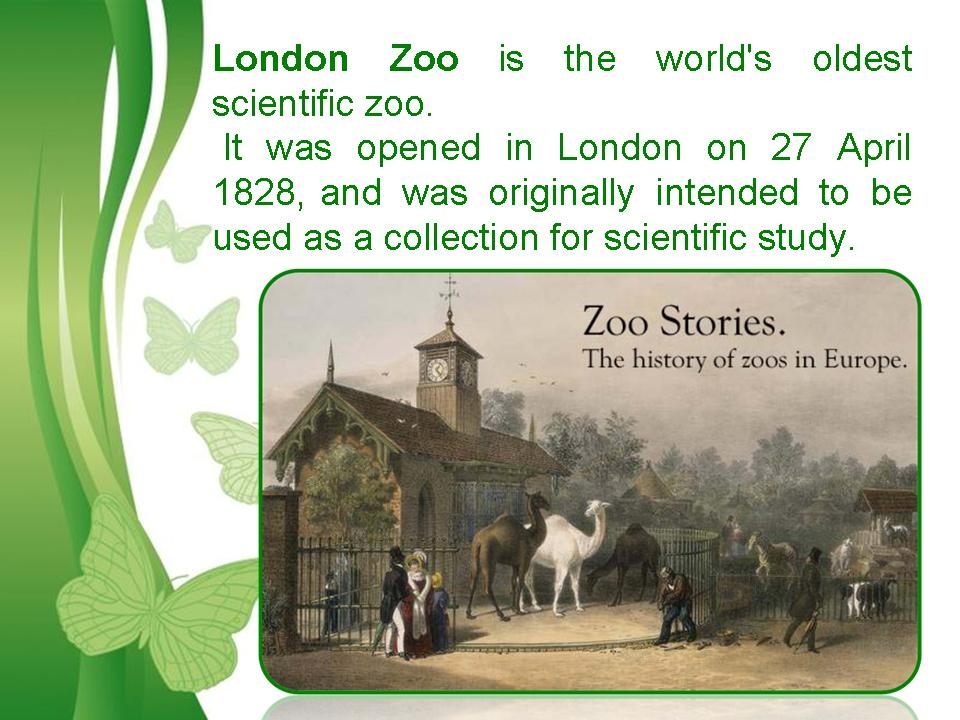 London Zoo Реферат